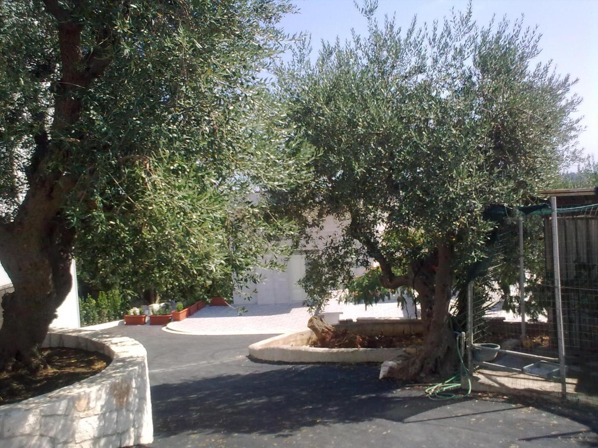 Bed & Breakfast La Collinetta Locorotondo Bagian luar foto