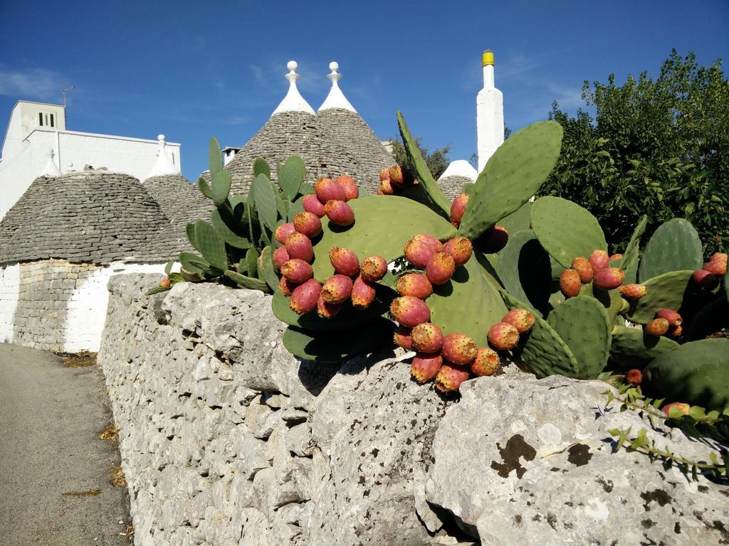 Bed & Breakfast La Collinetta Locorotondo Bagian luar foto